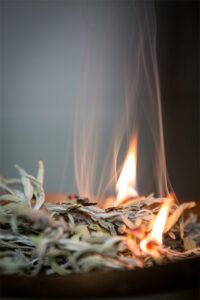 Nettoyage des ondes négatives à Lambersart 